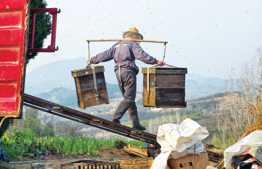 20260327A04_260327073849980200854 (1)