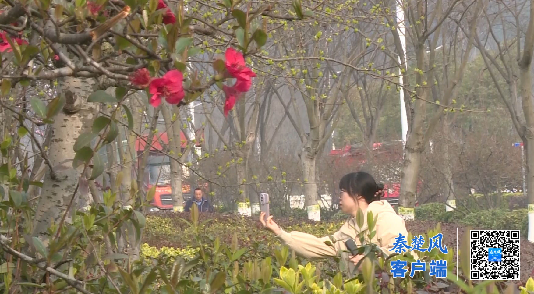 微信图片_2026-03-27_173953_811