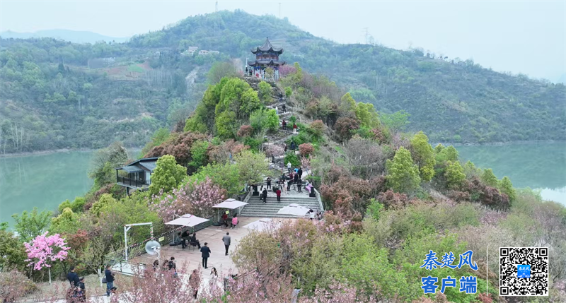 微信图片_2026-04-02_172209_646