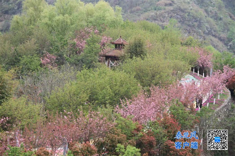 微信图片_2026-04-02_172201_238