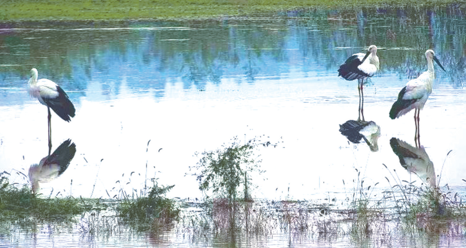 20260408A04_260407235156788800361