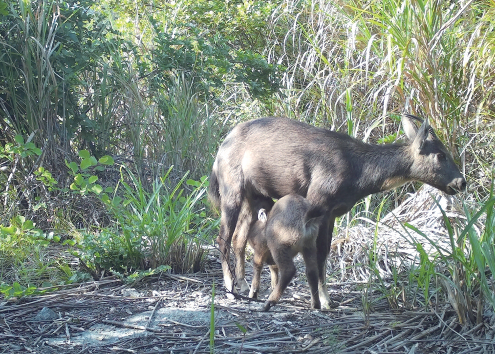 20260408A04_260407235150148373850