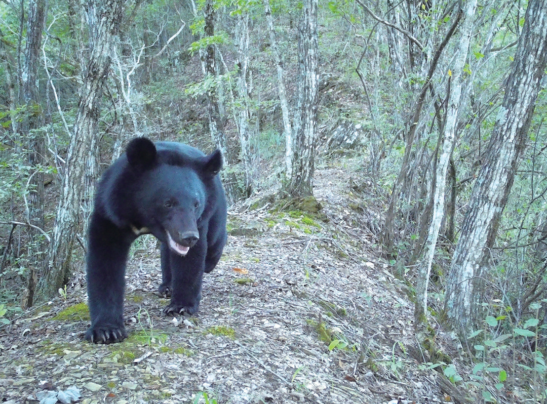 20260408A04_260407235147977188493