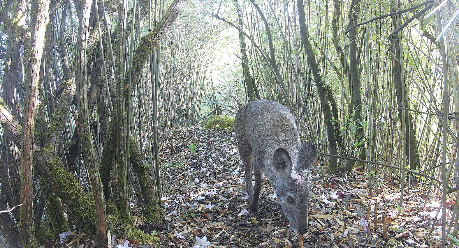 20260408A04_260407235152436548417