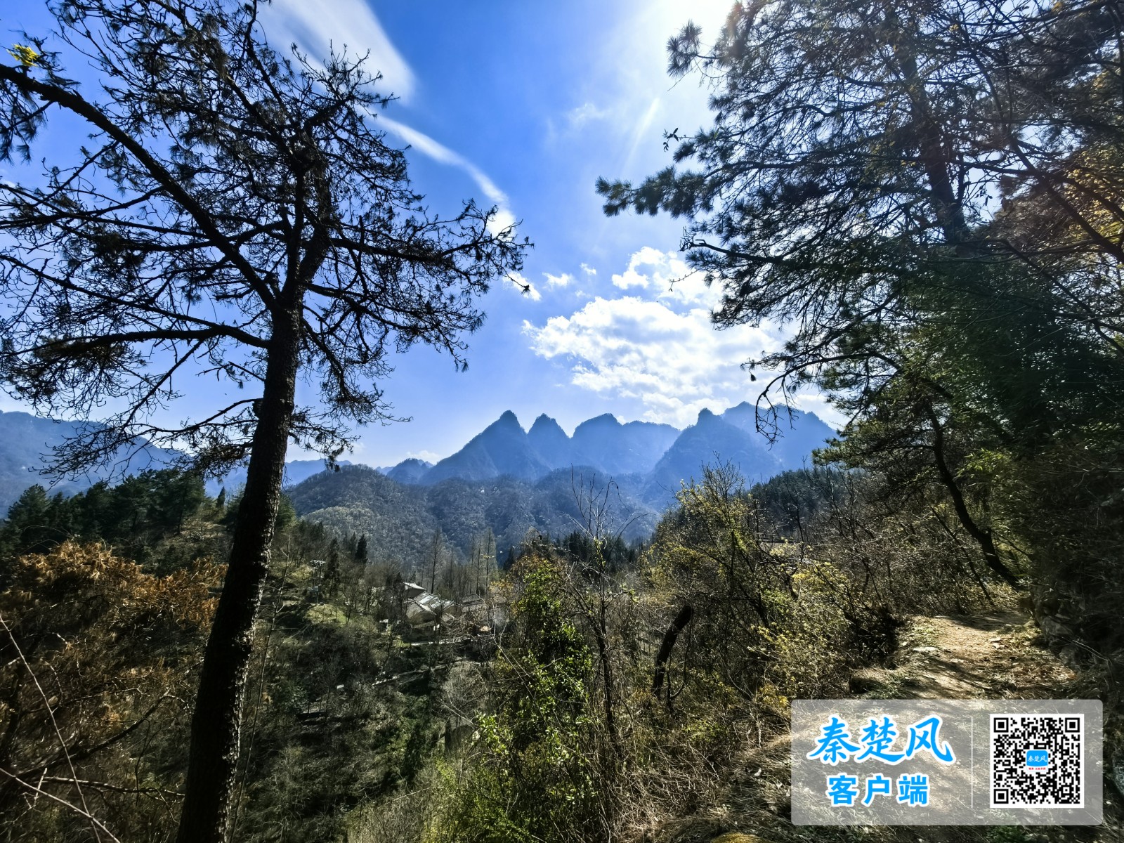 微信图片_20260417174100_540_1089_副本