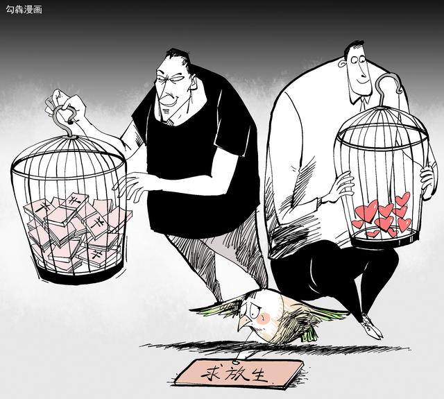 地产商为求财放生80斤蛇！“行善”变“放害”不能无法无天