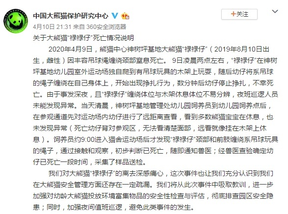 image.png?x-oss-process=style/w10