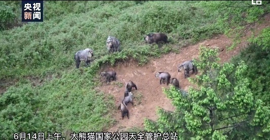 微信图片_20210615105809.png