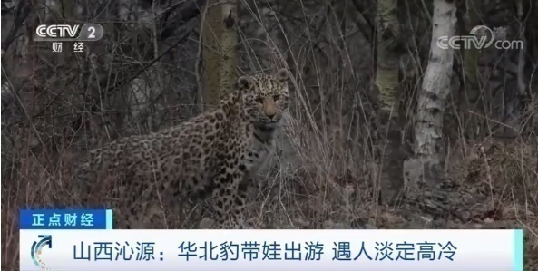 微信图片_20210615110106.png