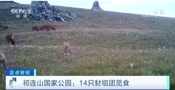 微信图片_20210615110513.png