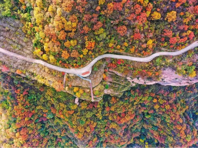 津冀赏彩叶｜河北这些秋景不容错过