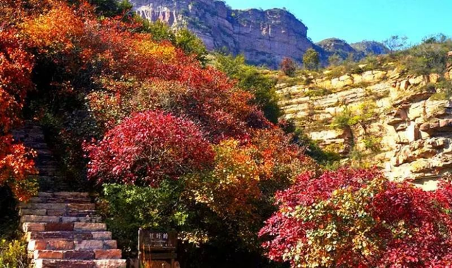 津冀赏彩叶｜河北这些秋景不容错过