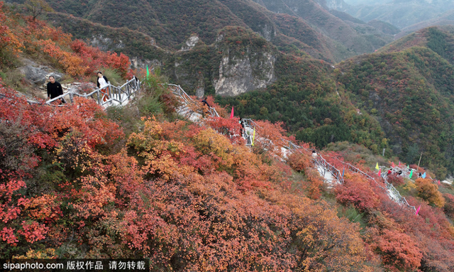 津冀赏彩叶｜河北这些秋景不容错过
