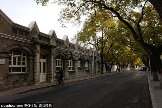 胡同赏秋，京味儿十足