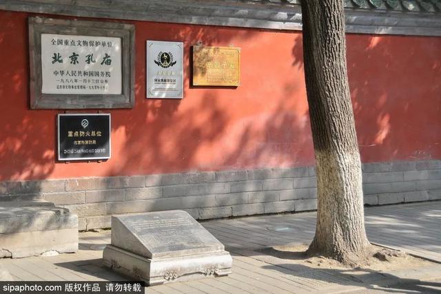 胡同赏秋，京味儿十足