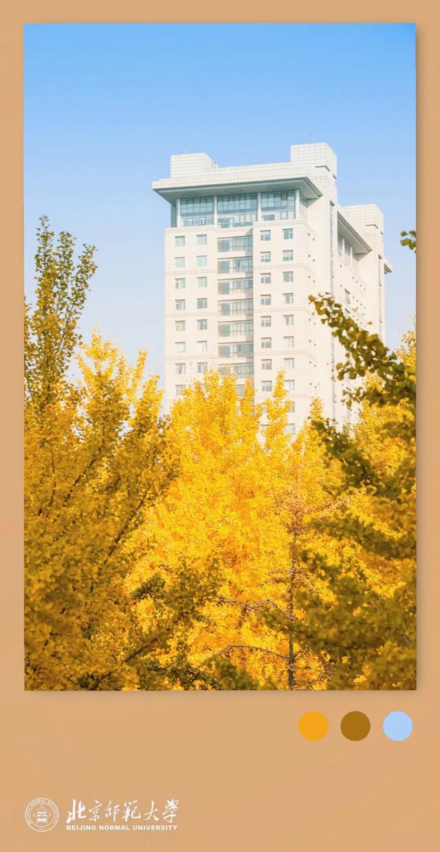 姚黄，霁红，霜绿，秋蓝