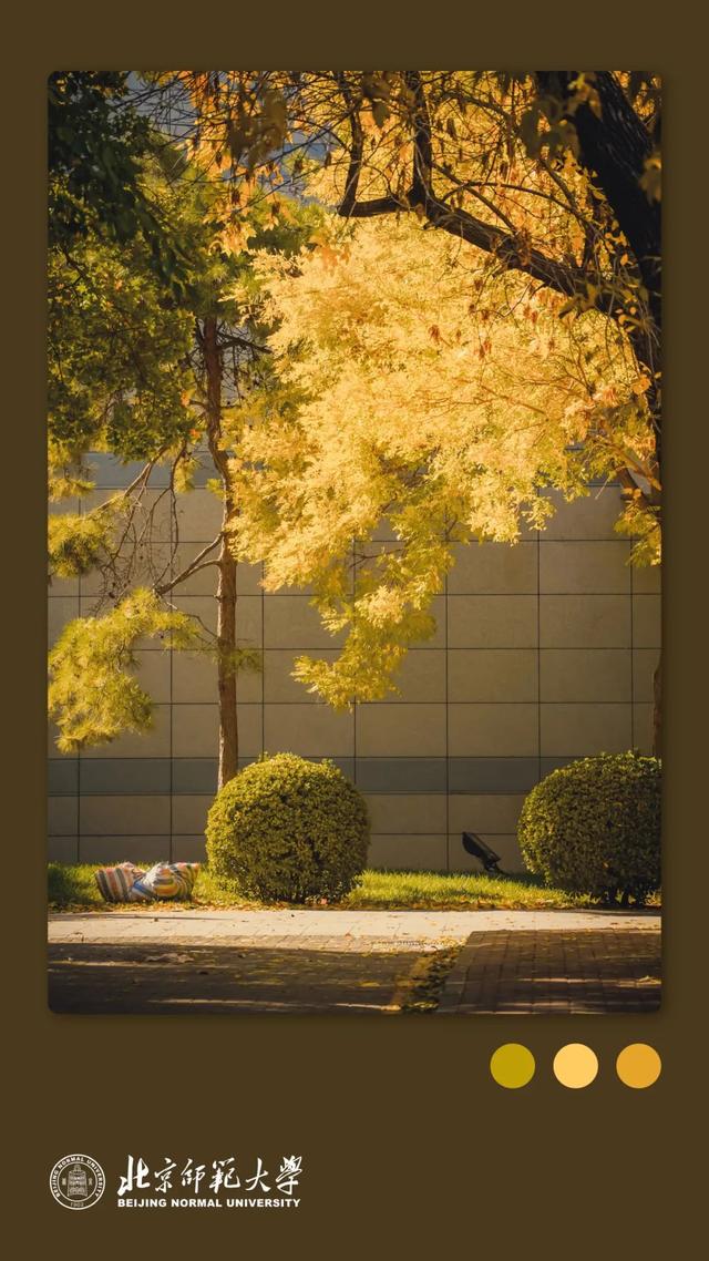 姚黄，霁红，霜绿，秋蓝