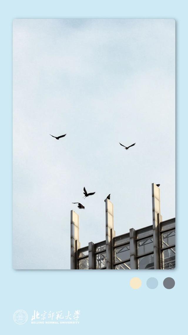 姚黄，霁红，霜绿，秋蓝