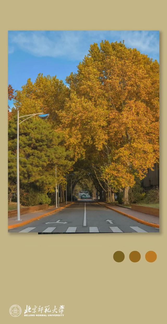 姚黄，霁红，霜绿，秋蓝