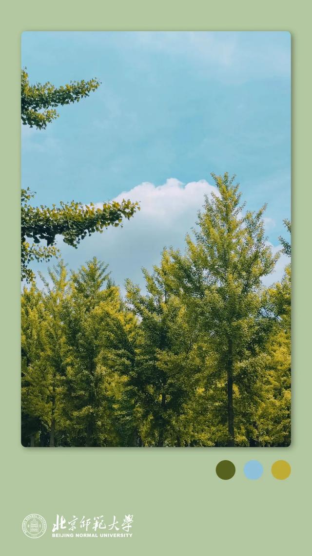 姚黄，霁红，霜绿，秋蓝