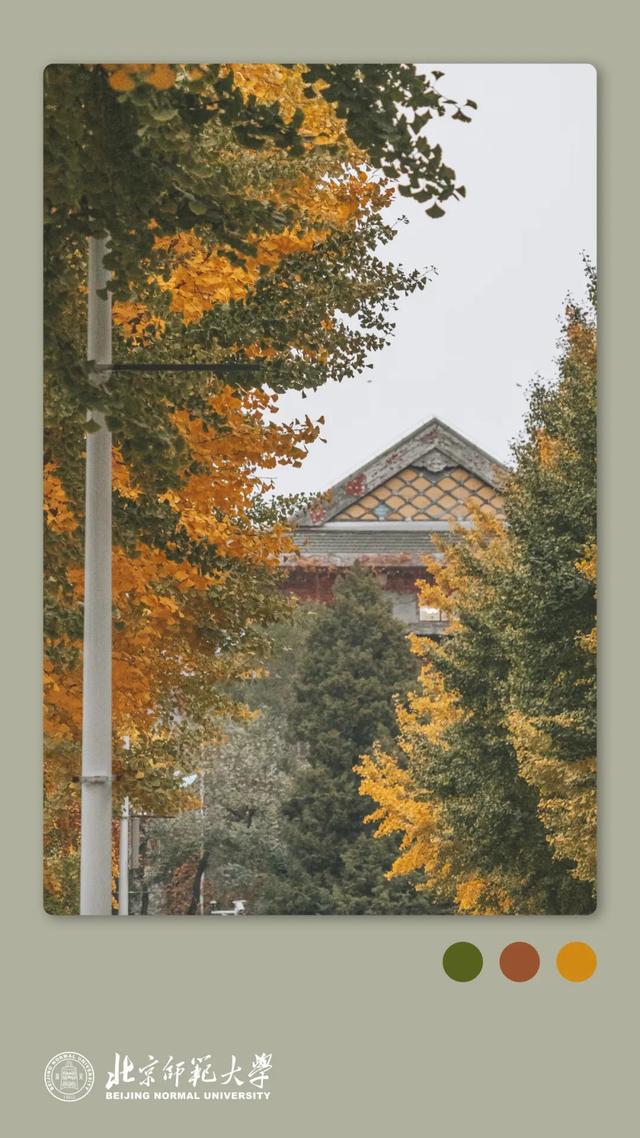 姚黄，霁红，霜绿，秋蓝