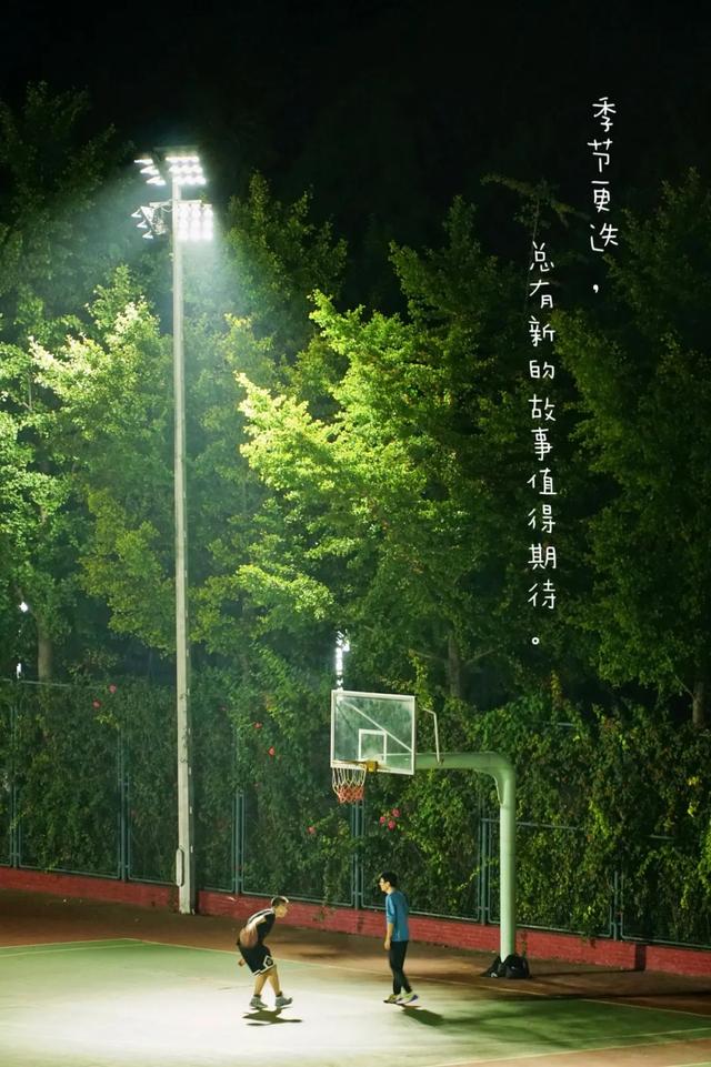 姚黄，霁红，霜绿，秋蓝