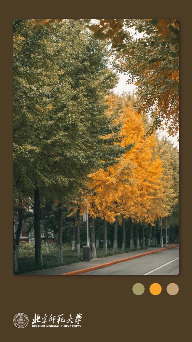 姚黄，霁红，霜绿，秋蓝