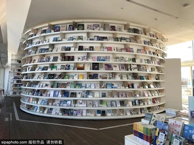 这些“氧气感”满满的温室植物园，初冬去刚刚好！