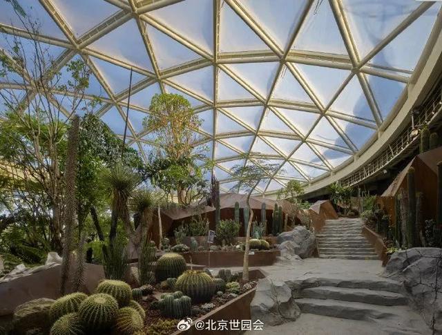 这些“氧气感”满满的温室植物园，初冬去刚刚好！