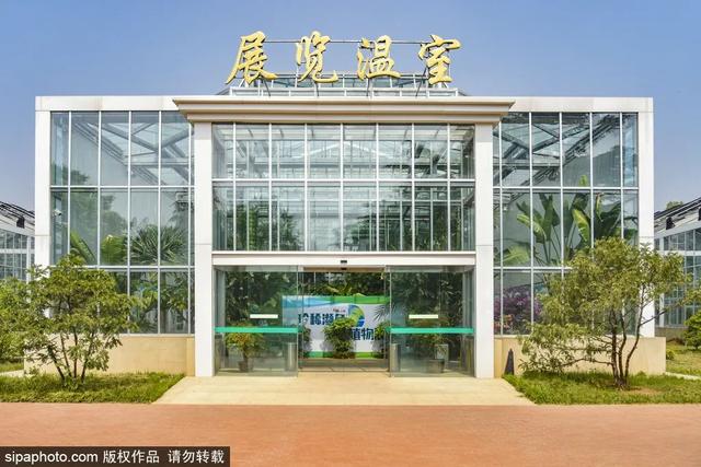 这些“氧气感”满满的温室植物园，初冬去刚刚好！