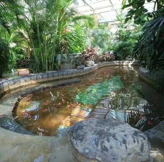 这些“氧气感”满满的温室植物园，初冬去刚刚好！
