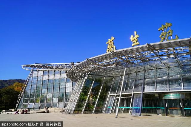 这些“氧气感”满满的温室植物园，初冬去刚刚好！