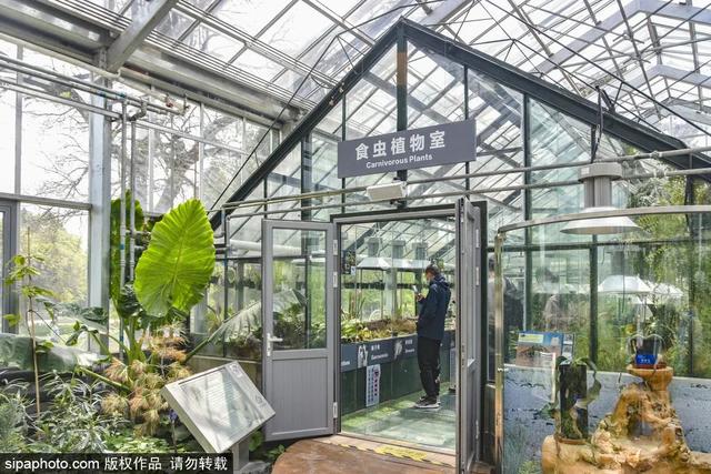 这些“氧气感”满满的温室植物园，初冬去刚刚好！