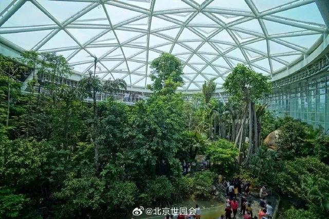 这些“氧气感”满满的温室植物园，初冬去刚刚好！