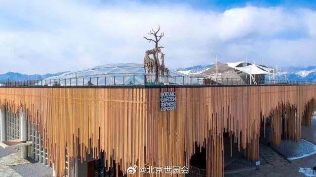 这些“氧气感”满满的温室植物园，初冬去刚刚好！