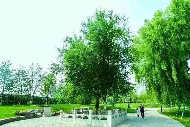 漫步北京——行大运品文化大运河主题游线路（二）