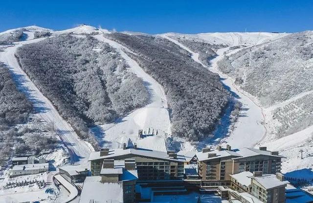 周末去哪 | 崇礼新雪季开始啦！