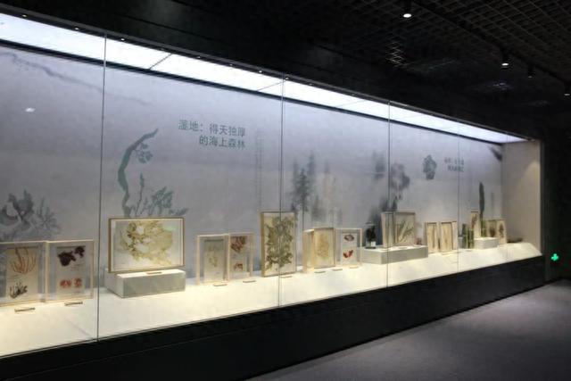 金秋十月，京城观展正当时