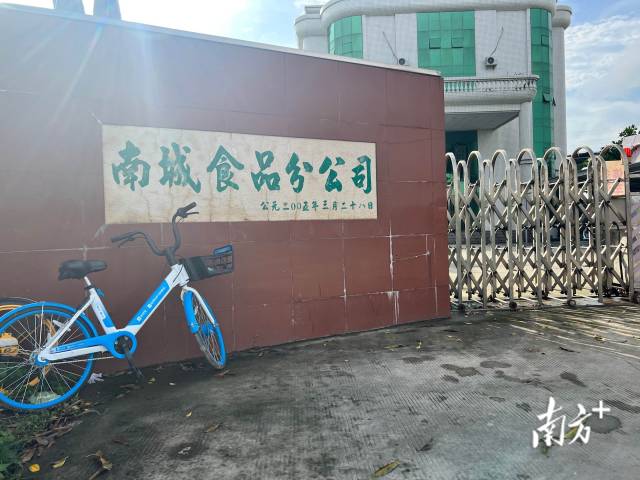 牛贩子将牛拉到南城食品分公司进行屠宰