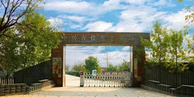 秋日采摘行 | 来这些地方实现葡萄自由