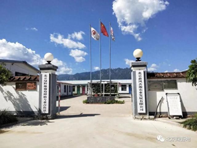 秋日采摘行 | 来这些地方实现葡萄自由