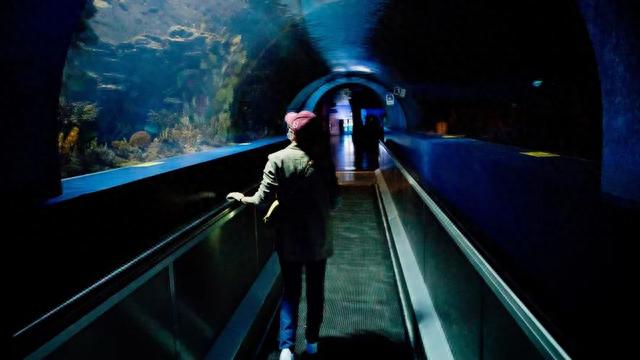 征集展映｜“月光下的北京”夜游指南推荐榜征集作品展映第一期来啦！