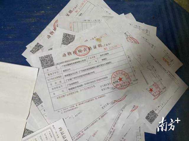 屠宰场内的动物检疫合格证明显示，牛肉的目的地有农产品批发市场、餐饮公司等地