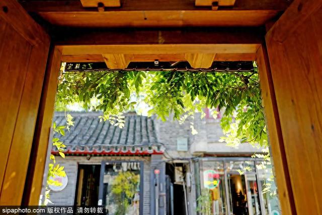 周末去哪 | 打卡古代最高学府，品尝胡同菜，漫步文艺胡同，就在……