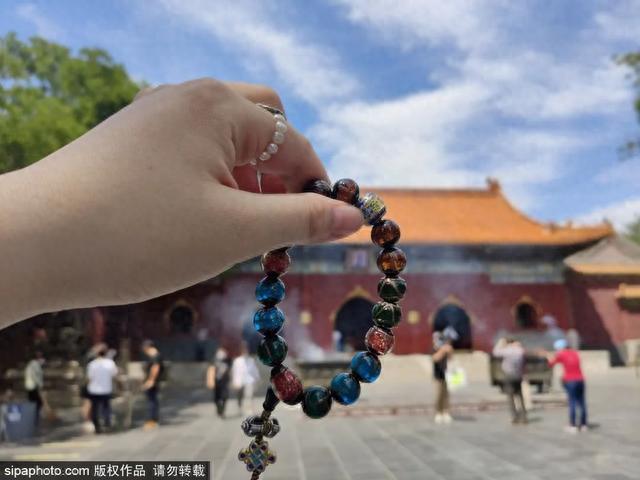 周末去哪 | 打卡古代最高学府，品尝胡同菜，漫步文艺胡同，就在……