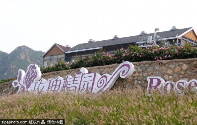 今日秋分 | 燕将明日去，秋向此时分