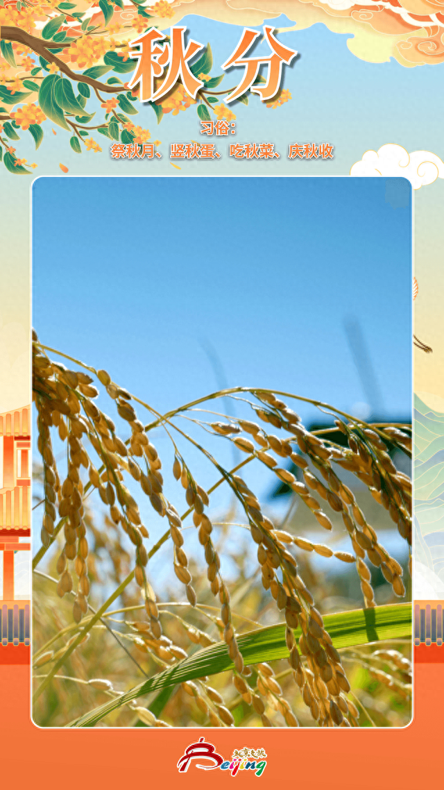 今日秋分 | 燕将明日去，秋向此时分