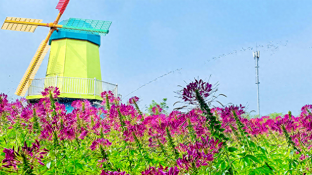 今日秋分 | 燕将明日去，秋向此时分