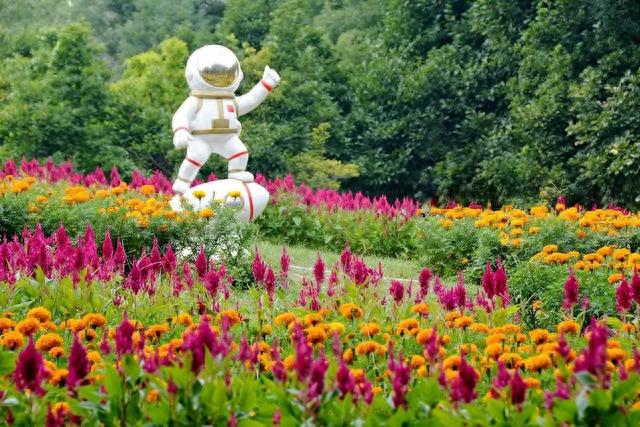 今日秋分 | 燕将明日去，秋向此时分