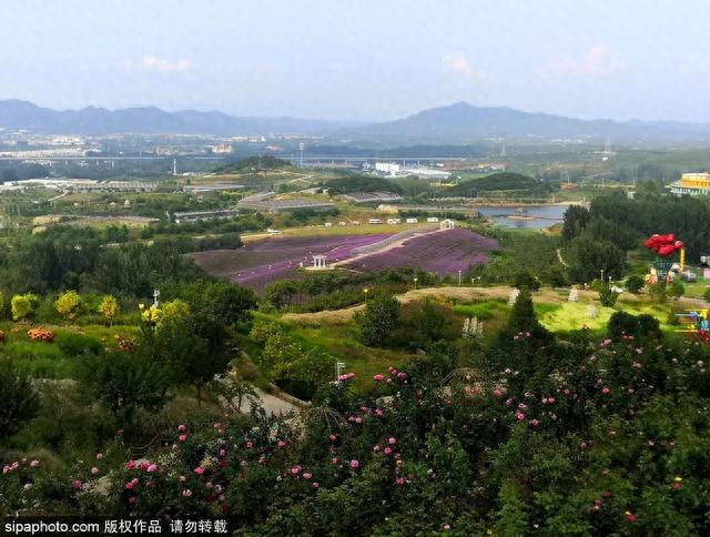 今日秋分 | 燕将明日去，秋向此时分